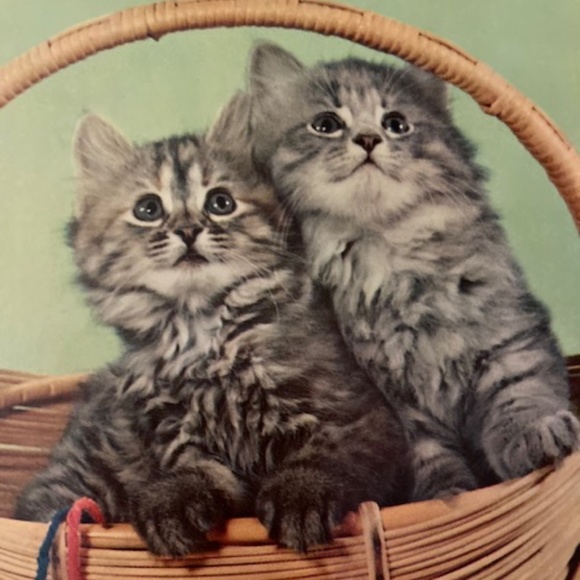 Jones New York Dress👒🕶 - Picture 10 of 10